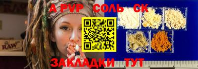 spice Камышлов