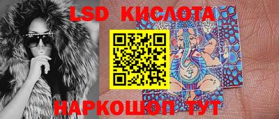 spice Канаш