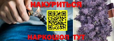 spice Камышлов