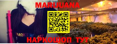 spice Камышлов