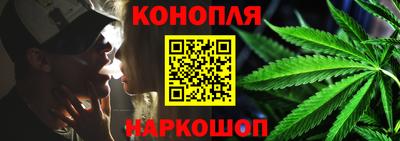 spice Камышлов