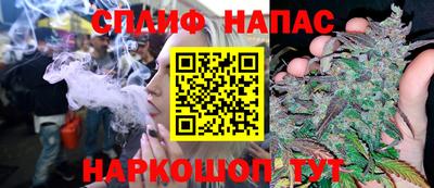spice Камышлов