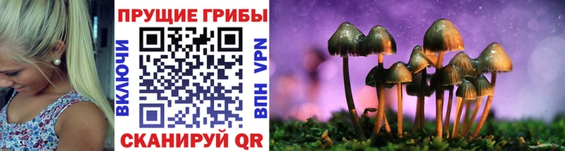закладки  Омск  Галлюциногенные грибы мухоморы 