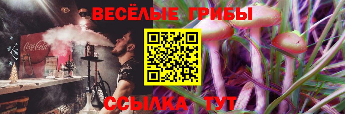 купить наркотики сайты  Галлюциногенные грибы прущие грибы  Омск  Вход с VPN  Галлюциногенные грибы MAGIC MUSHROOMS 