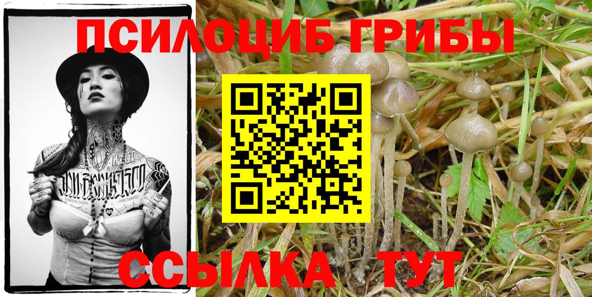 Галлюциногенные грибы прущие грибы Омск